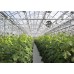 DYNAGLAS® Condensation Control Corrugated Polycarbonate DYNAGLAS® Condensation Control Corrugated Polycarbonate